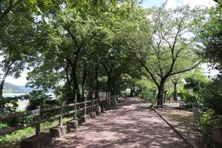 写真：扶桑緑地公園サイクリングロード