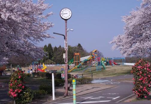 写真：木曽川扶桑緑地公園