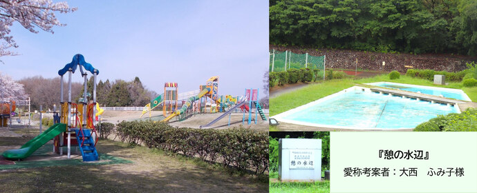 写真：緑地公園